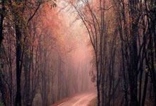 雷恩客场负于波尔多,遭遇两连败压力不小