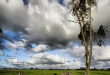 国内球队在足球大赛中发挥突出