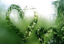 秘鲁运动员克服困难，杀入前四