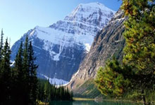 国内球队在足球大赛中发挥突出