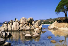 秘鲁运动员克服困难,杀入前四