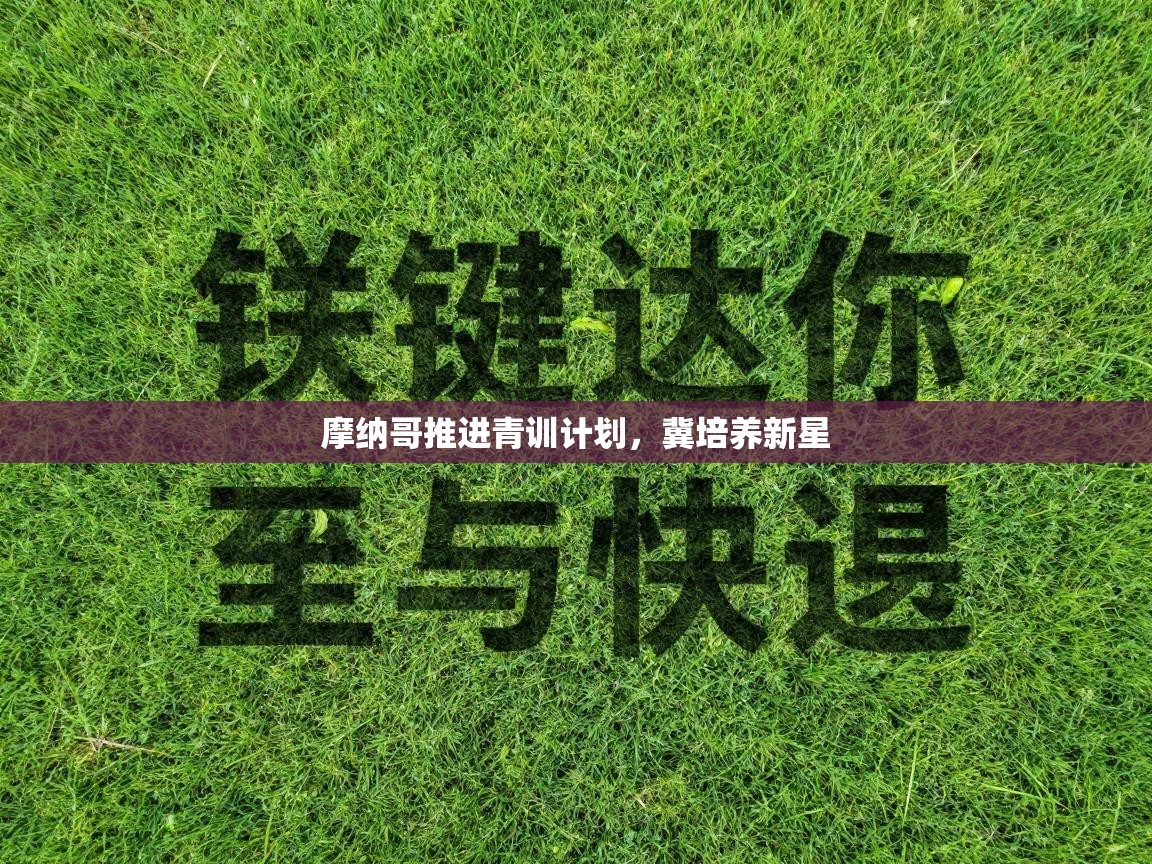 摩纳哥推进青训计划，冀培养新星  第2张