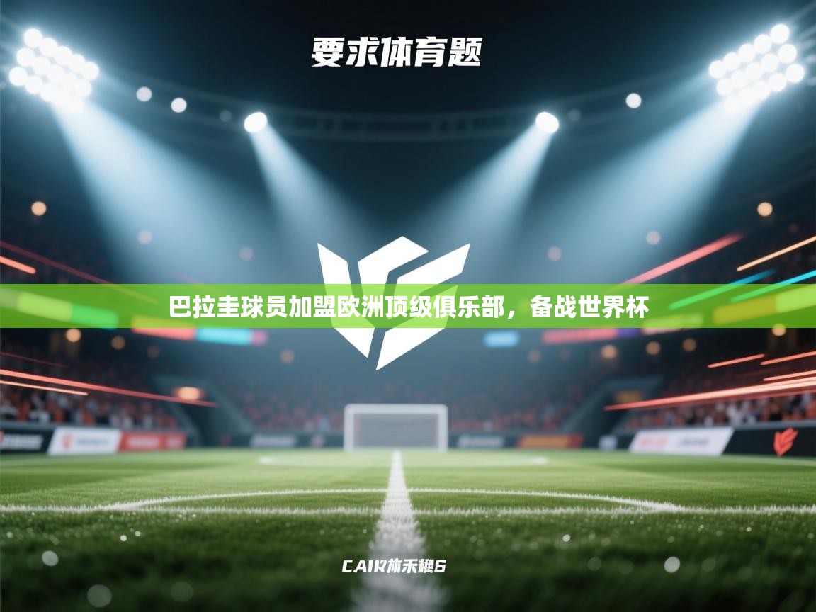 巴拉圭球员加盟欧洲顶级俱乐部，备战世界杯  第2张