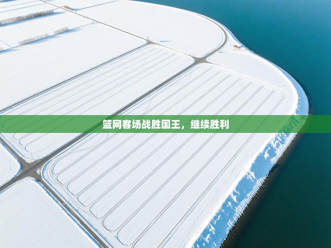 篮网客场战胜国王,继续胜利 第1张