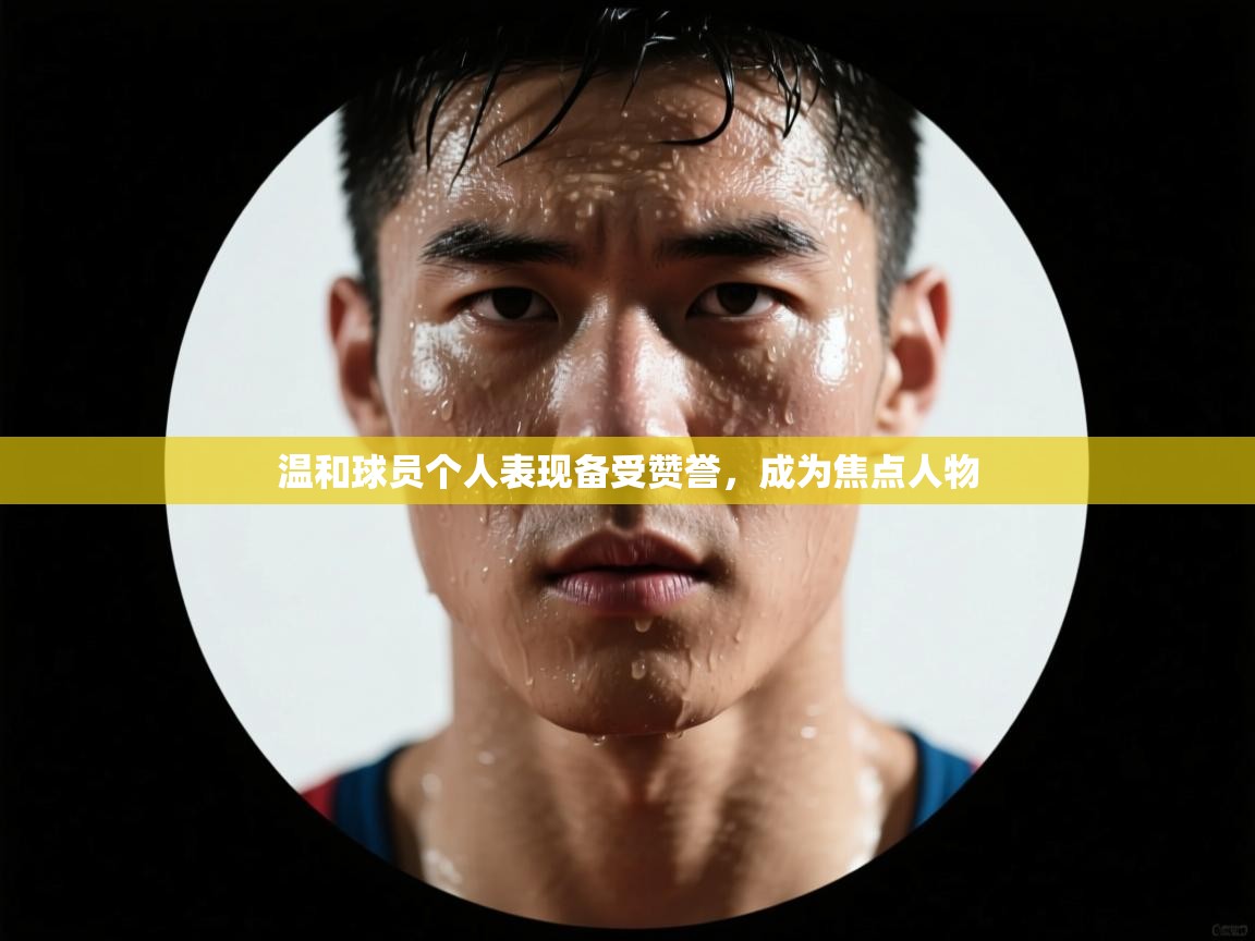 温和球员个人表现备受赞誉，成为焦点人物  第2张