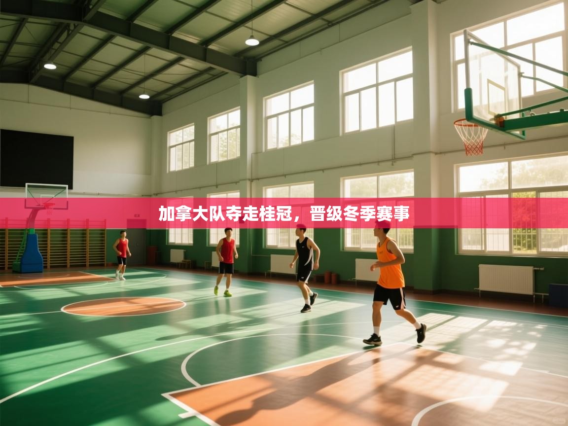 加拿大队夺走桂冠，晋级冬季赛事  第2张